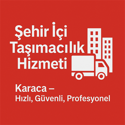 Şehir İçi Taşıma