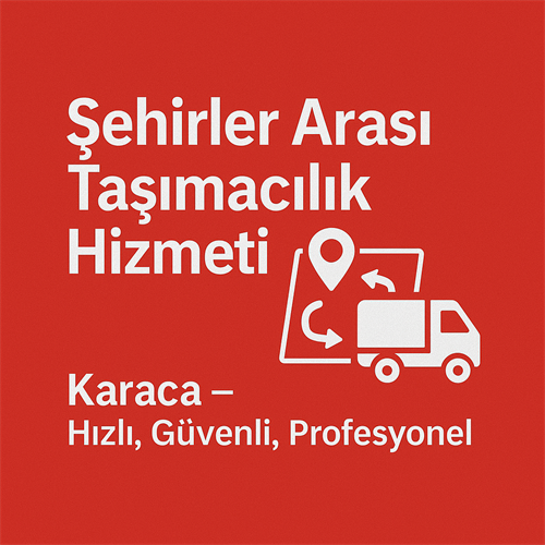 Şehirler Arası Taşıma