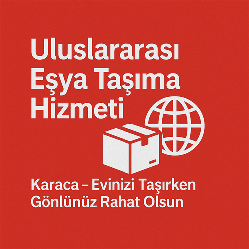 Uluslararası Taşıma